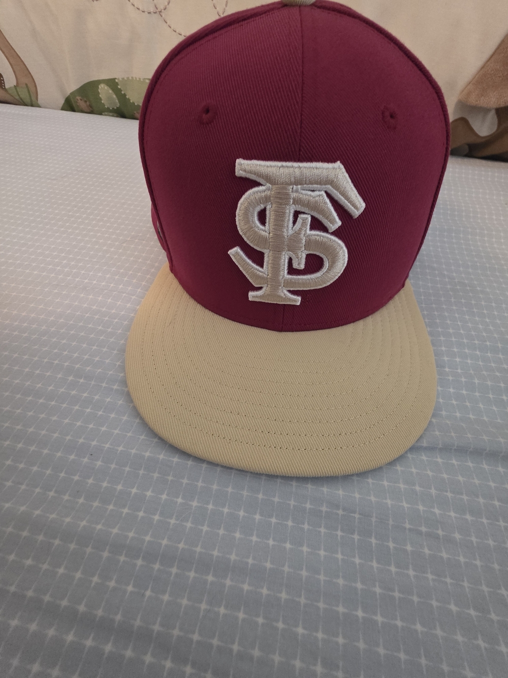 Nike Florida State Hat